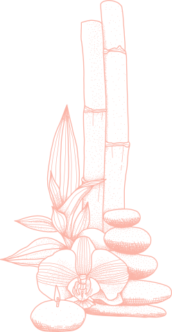 https://dravanesabirenbaum.com.ar/wp-content/uploads/2022/07/cbn-2.png